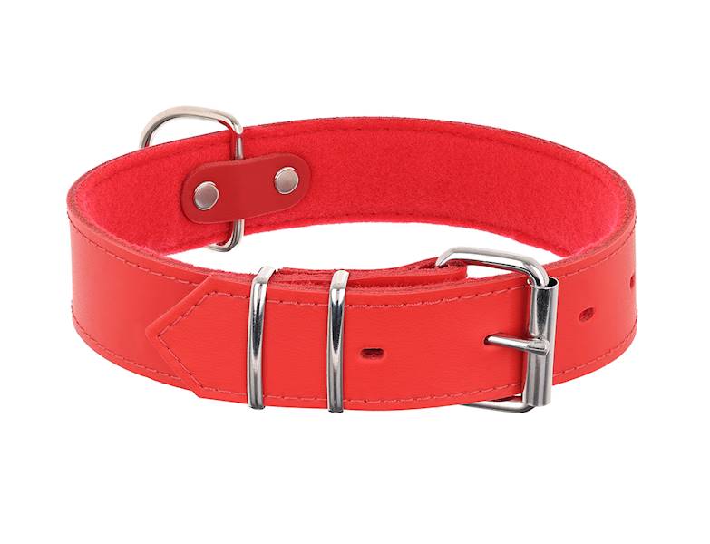 Obroża skórzana 40mm/46cm CZERWONA