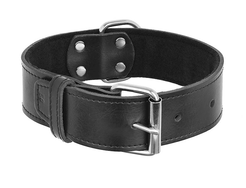 Obroża skórzana 50mm/50cm CZARNA