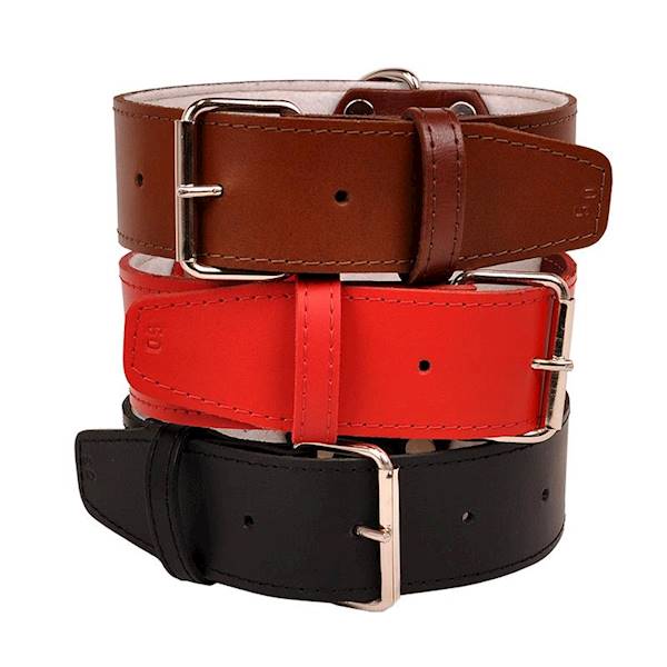 Obroża skórzana 50mm/50cm CZARNA