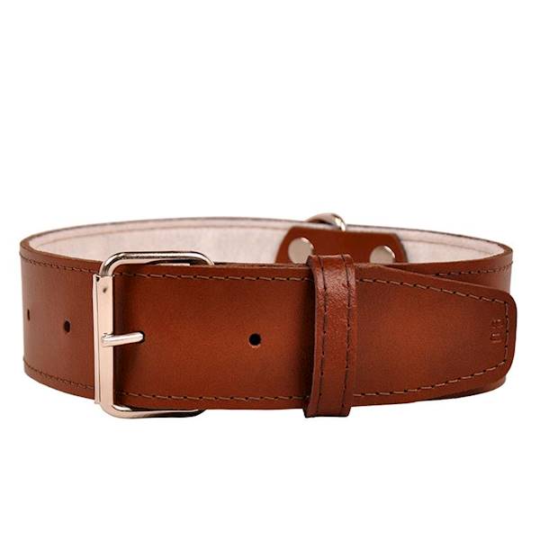 Obroża skórzana 50mm/60cm BRĄZOWA