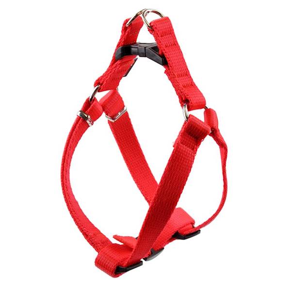 SZELKI TAŚMA REGULOWANE 10mm/30-50cm CZERWONE