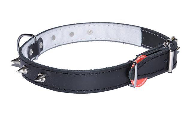OBROŻA SKÓRA KOLEC DUŻY 30mm/63cm CZARNA