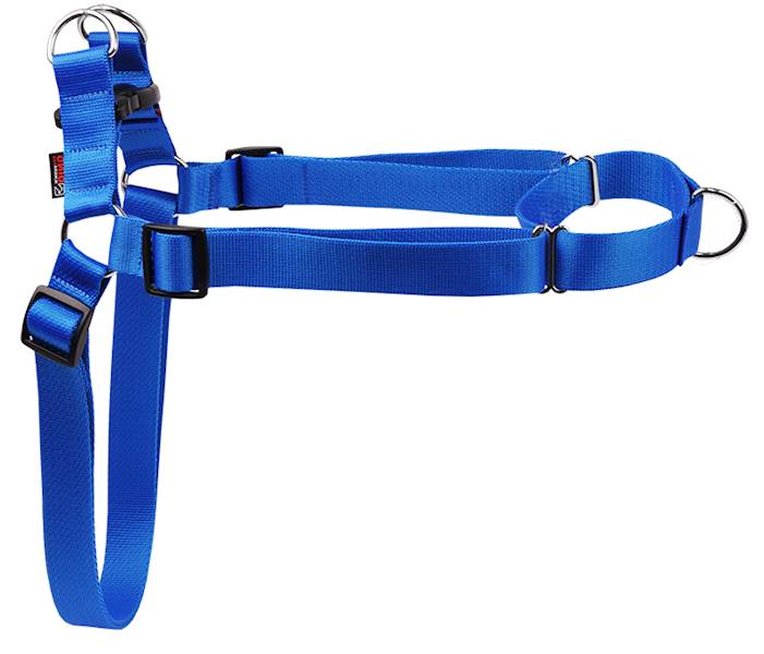 SZELKI TAŚMA EASY WALK 30mm/75-125cm "120" NIEB.