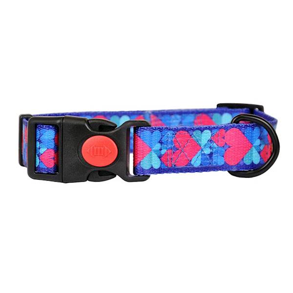 OBROZA TASMA Z ZAPINKA IVO 20mm/35-60cm SERCA