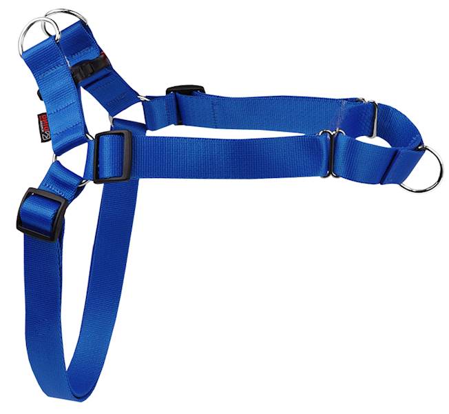 SZELKI TAŚMA EASY WALK 30mm/65-105cm "100" NIEB.
