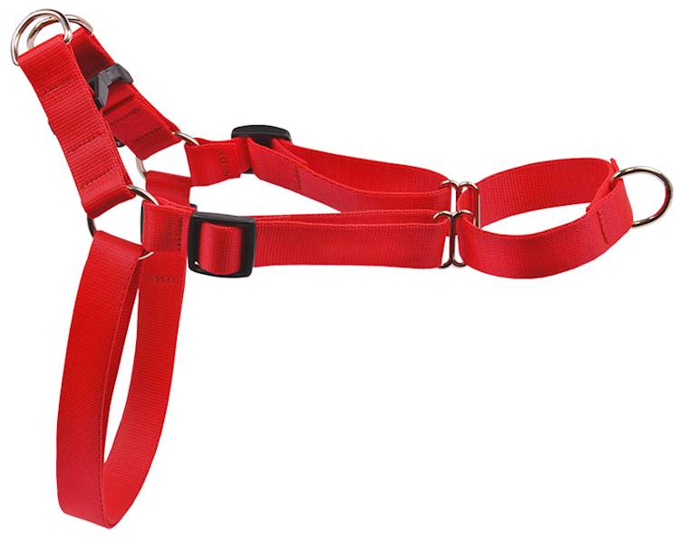SZELKI TAŚMA EASY WALK 30mm/65-105cm "100" CZER.