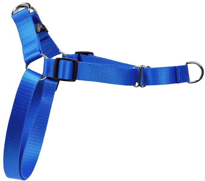 SZELKI TAŚMA EASY WALK 25mm/56-90cm "85" NIEB.