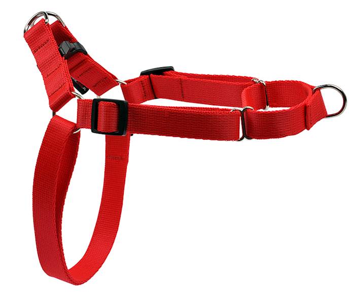 SZELKI TAŚMA EASY WALK 20mm/50-75cm "70" CZER.