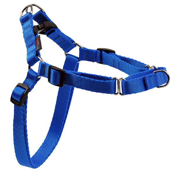 SZELKI TAŚMA EASY WALK 15mm/43-64cm "60" NIEB.
