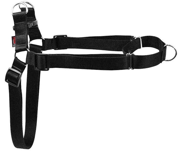 SZELKI TAŚMA EASY WALK 30mm/75-125cm "120" CZAR.