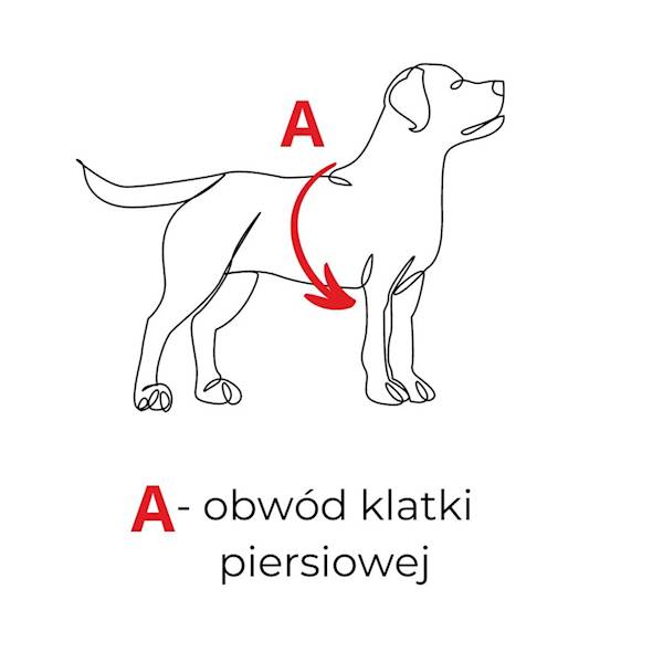 SZELKI SKÓRZANE 80cm WILK SUKA NATURA