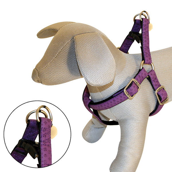 CROCI SZELKI MYLORD 35-60cm/15mm FIOLETOWE