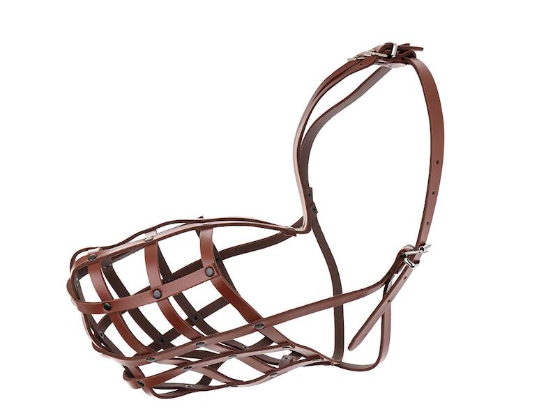 KAGANIEC SKÓRZANY NITOWANY 22  MASTIF DUŻY, BRĄZOW