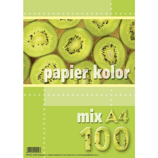 Papier ksero A4  100 kolor A4 mix