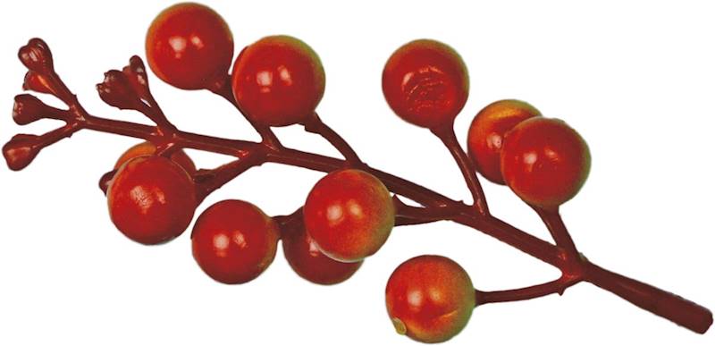 Dekoracje florystyczne: gałązki winobluszczu