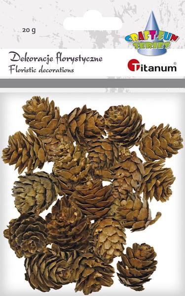 Dekoracje florystyczne Titanum szyszki 20g