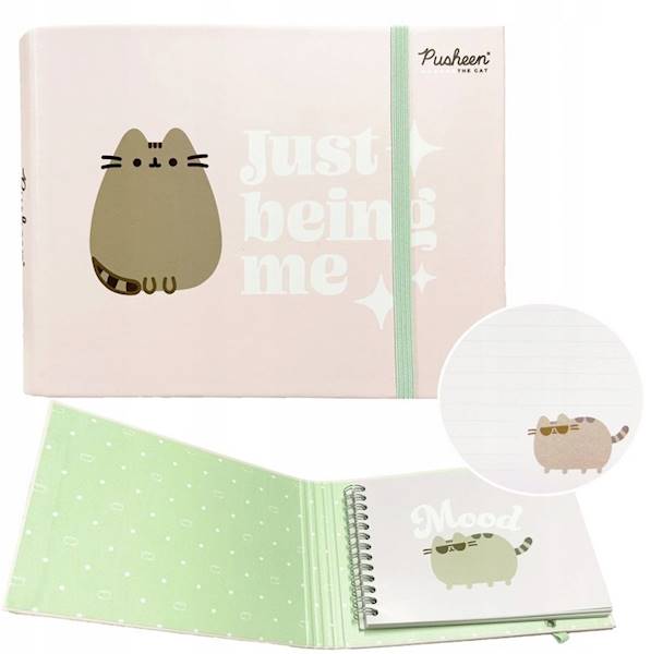 Pamiętnik Pusheen z gumką