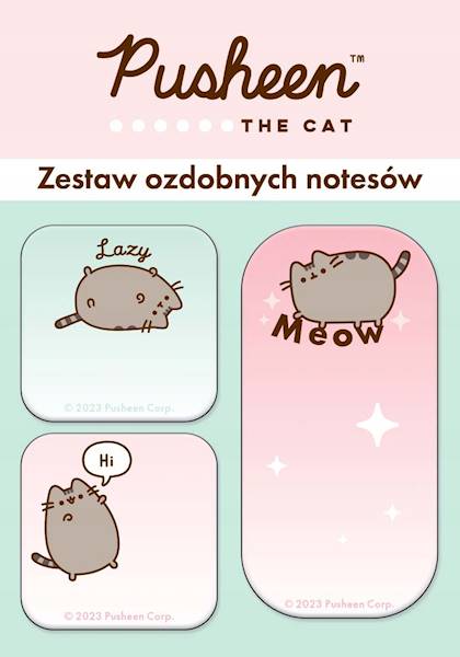 Zestaw ozdobnych notesów Pusheen