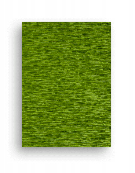 Bibuła Tymos oliwkowa 200/50 cm