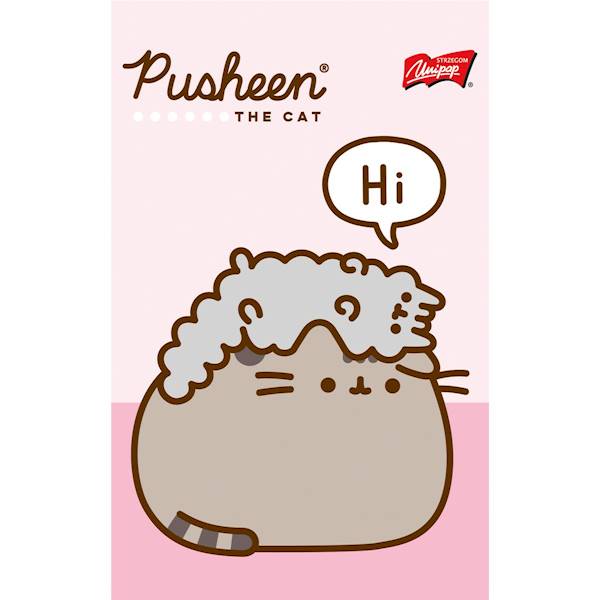 Notes PUSHEEN A6 60 kartek