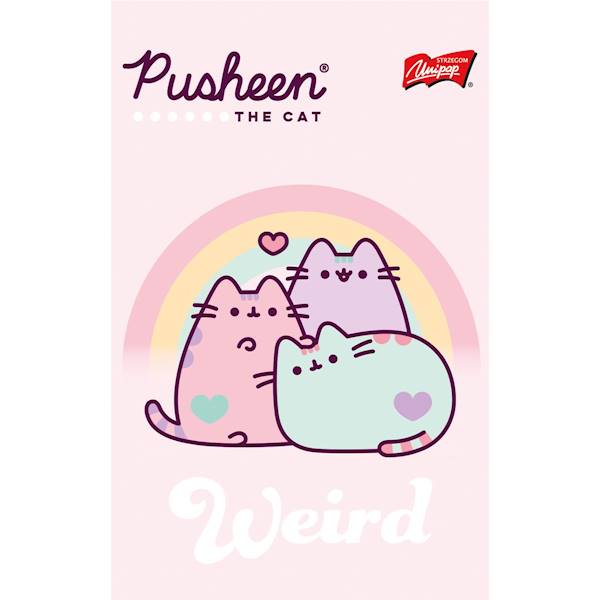 Notes PUSHEEN A6 60 kartek