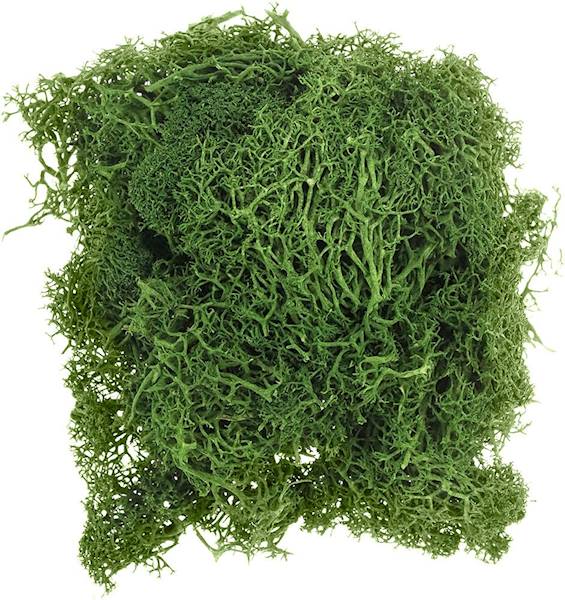Dekoracja florystyczna Titanum ciemnozielony mech