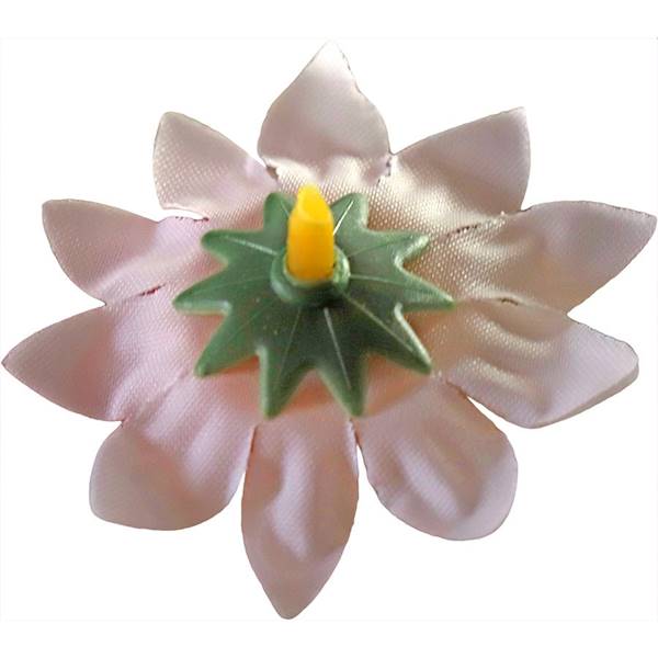 Dekoracje florystyczne Titanum stokrotki 