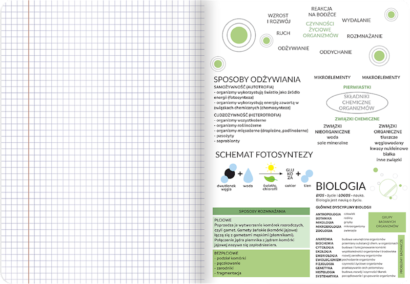 Zeszyt A5/60k kratka TOP-2000 Biologia ze ściągami