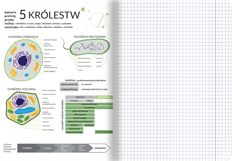 Zeszyt A5/60k kratka TOP-2000 Biologia ze ściągami