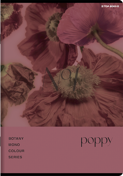 Zeszyt A5/96k kratka TOP-2000 Botany