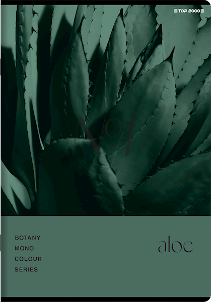 Zeszyt A5/80k kratka TOP-2000 Botany