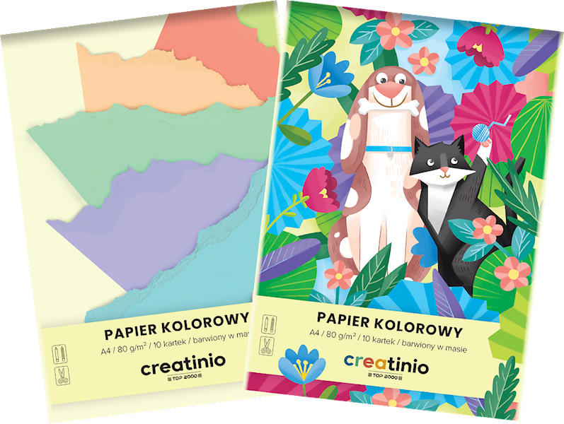 Papier kolorowy TOP-2000 Creatinio A4 mix 80g