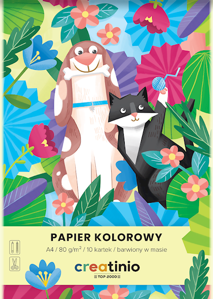 Papier kolorowy TOP-2000 Creatinio A4 mix 80g