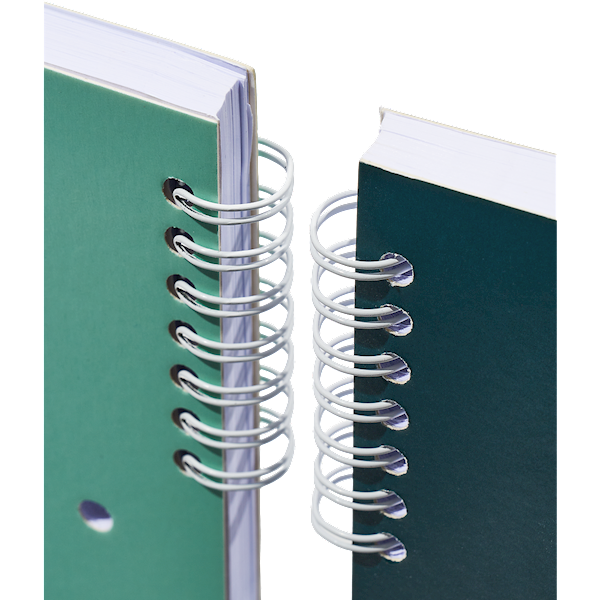 Kołozeszyt A4/100k TOP-2000 Studentbook 5P
