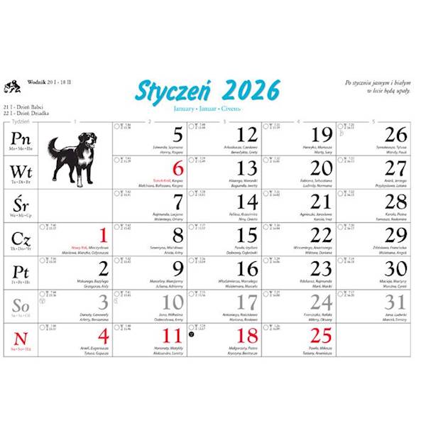 Kalendarz ścienny Lucrum Psy