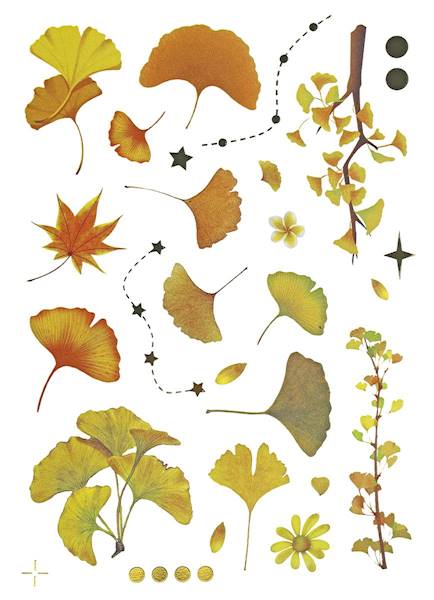 Naklejki foliowe Titanum 8 plansz jesienne wzory