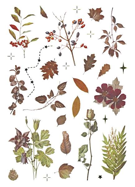 Naklejki foliowe Titanum 8 p. jesienne