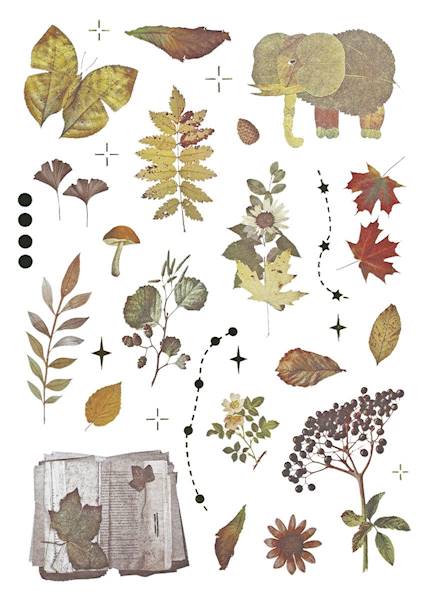 Naklejki foliowe Titanum 8 p. jesienne