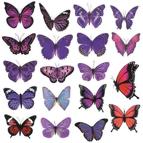 Naklejki foliowe Titanum motyle 40 szt.