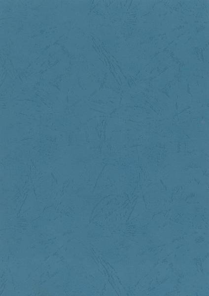 Bind.- Okładka do bindowania Titanum niebieska