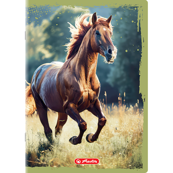 Zeszyt A5/16 gładki Herlitz Animals