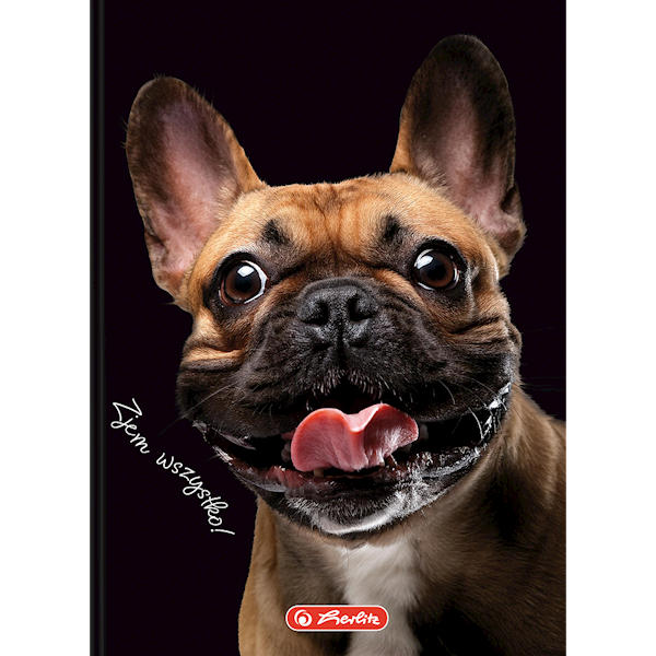 Brulion A6/80 kratka Herlitz Crazy Animals