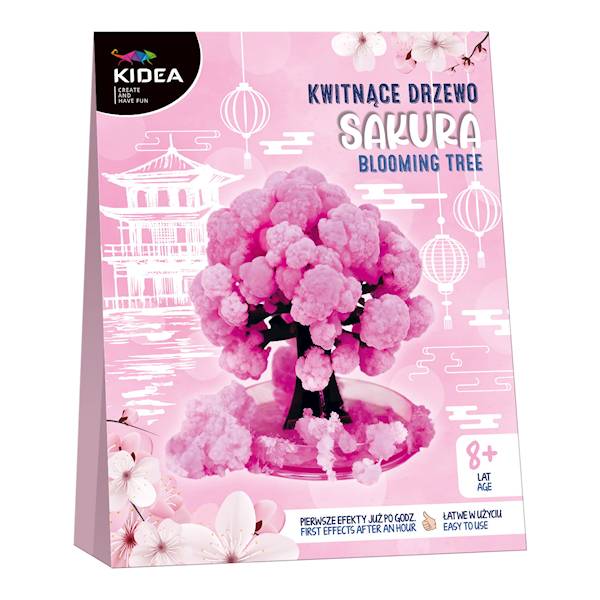 Kwitnące drzewo sakura Kidea