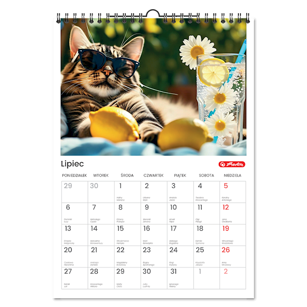 Kalendarz Herlitz A4 scienny