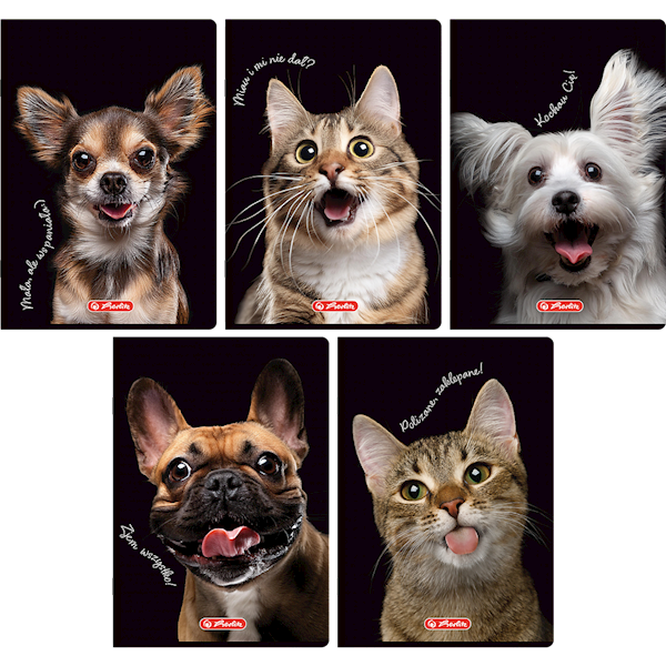 Zeszyt A6/16k Herlitz kratka Crazy Animal