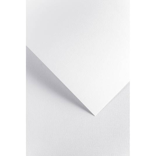 Papier wizytówkowy A4 GP 220g Len biały