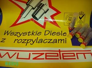 WZM DSL132S440-1409 TATRA  KOŃCÓWKA WTRYSKU 