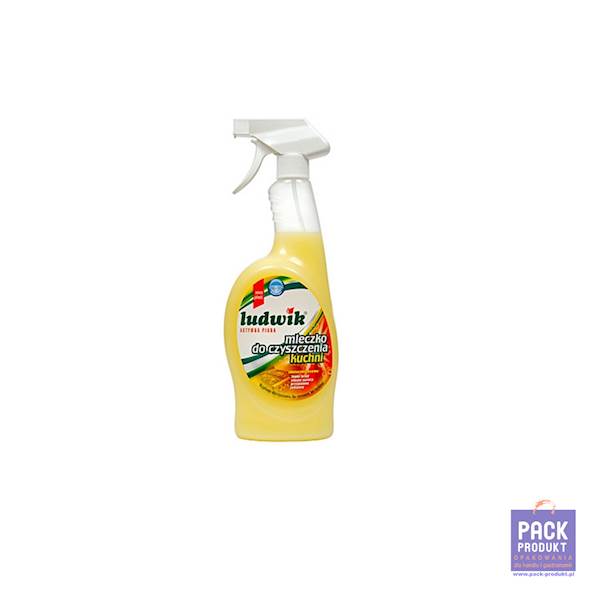 LUDWIK SPRAY AKTYWNA PIANA KUCHNIA 750 ML