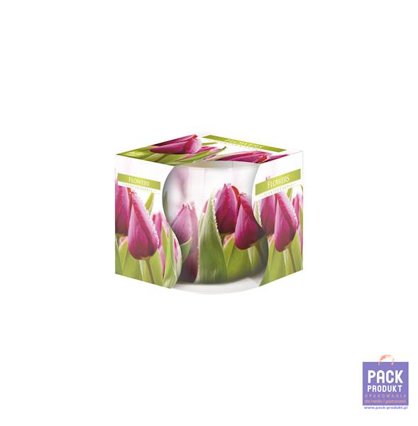 BISPOL ŚWIECA ZAPACHOWA SN 72S 22H