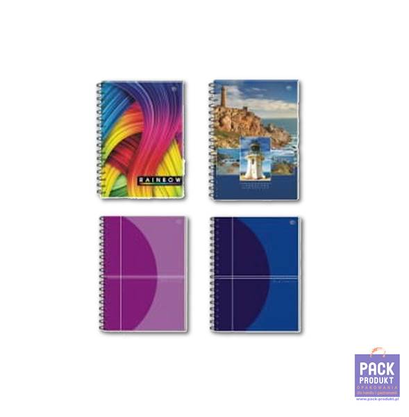 KOŁONOTATNIK A6/100